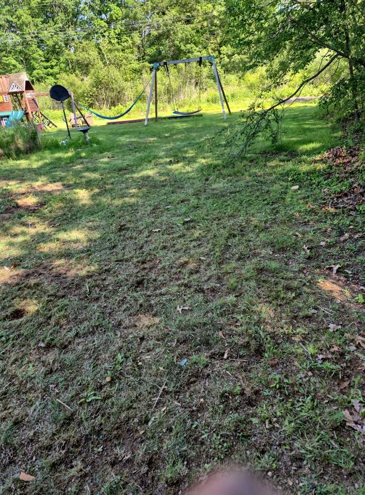 Grassy backyard with a swing set, trees, and shade.