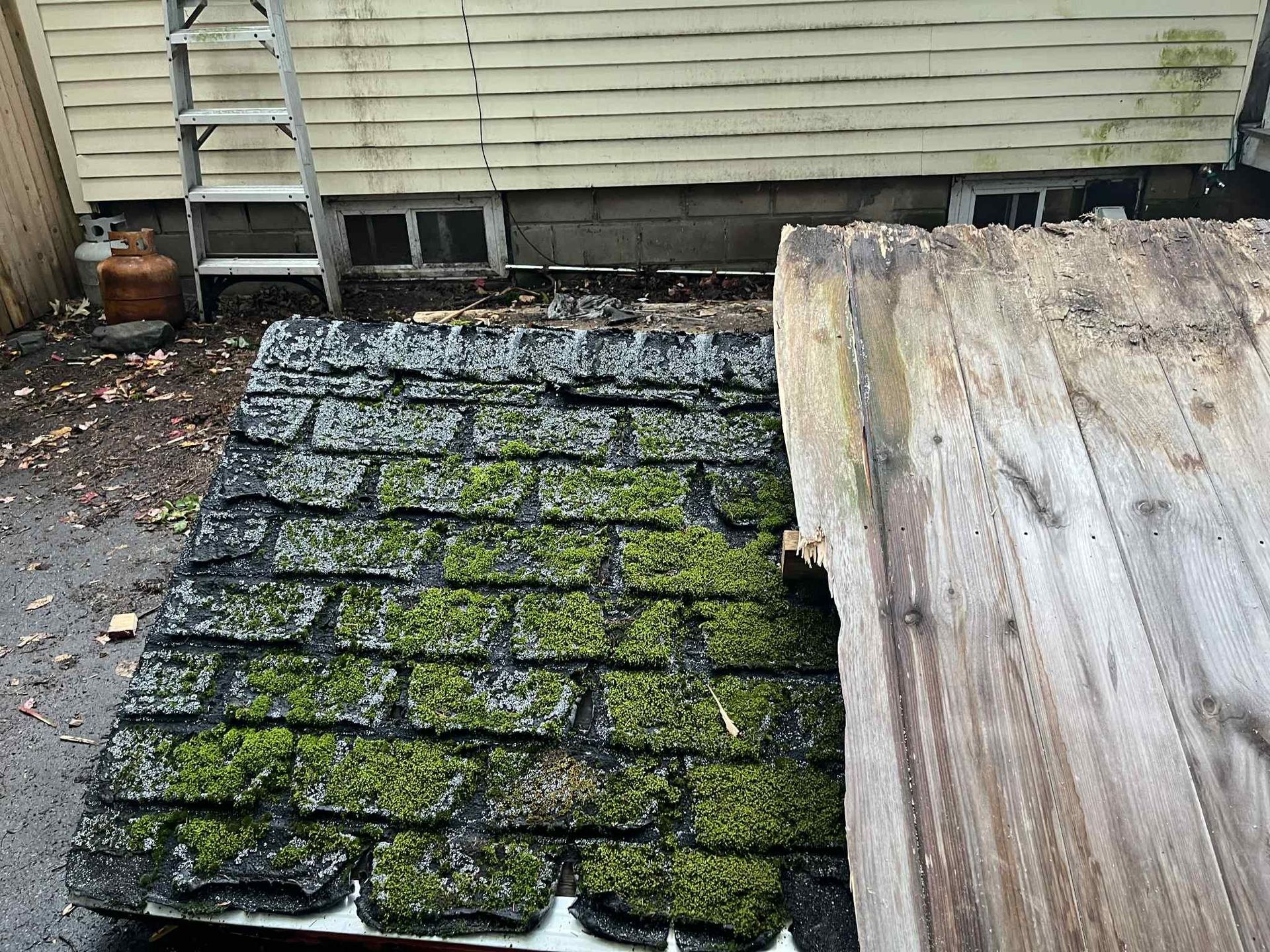Shingled rooftop covered in green moss sits next to a weathered wooden board, near a building and ladder.