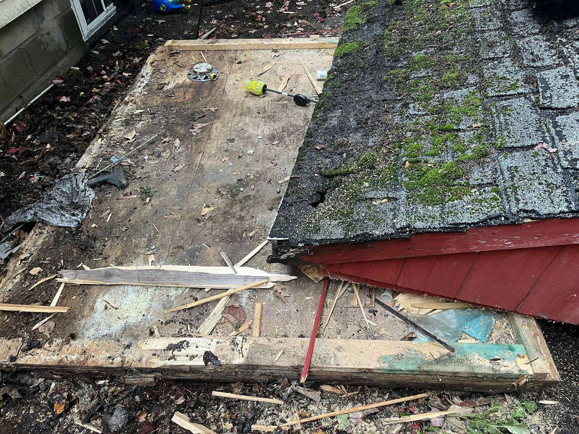 Deconstructed shed with mossy roof lying on its side; wood debris scattered.
