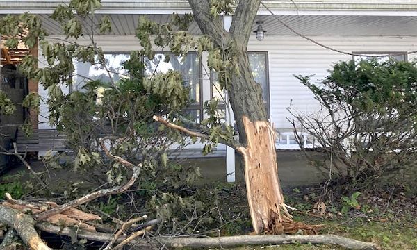 A damaged tree with a large, splintered section of trunk split open in front of a white house with a porch.