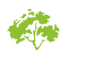 A lime-green icon of a stylized tree with a textured, leafy canopy and a short, branching trunk on a white background.