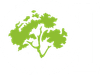 A lime-green icon of a stylized tree with a textured, leafy canopy and a short, branching trunk on a white background.