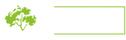 Logo for Outdoor Inspirations Tree Service, featuring a stylized green tree inside the letter 'O' next to the company name.
