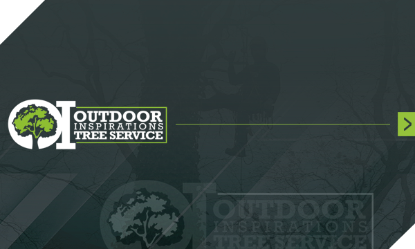 Overhead view of a dark gray roof, with a green and yellow logo featuring a stylized house and the letter