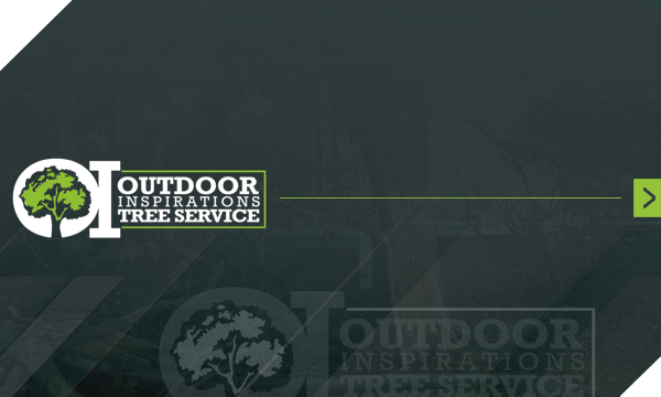 Overhead view of a dark gray roof, with a green and yellow logo featuring a stylized house and the letter