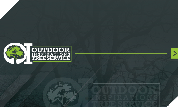 Logo of a roof with a green