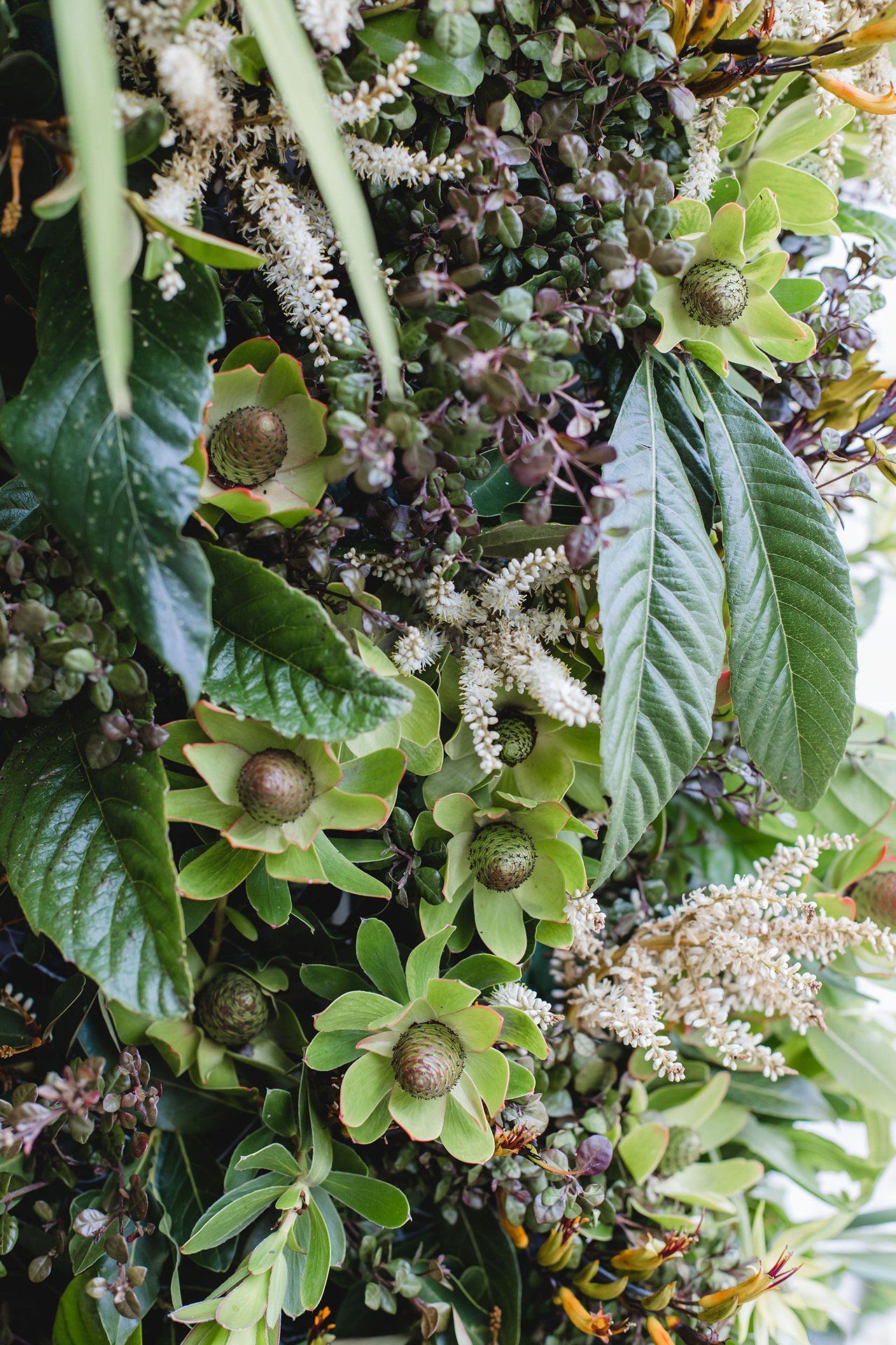 Garden Tours for Bloom in the Boom 2020