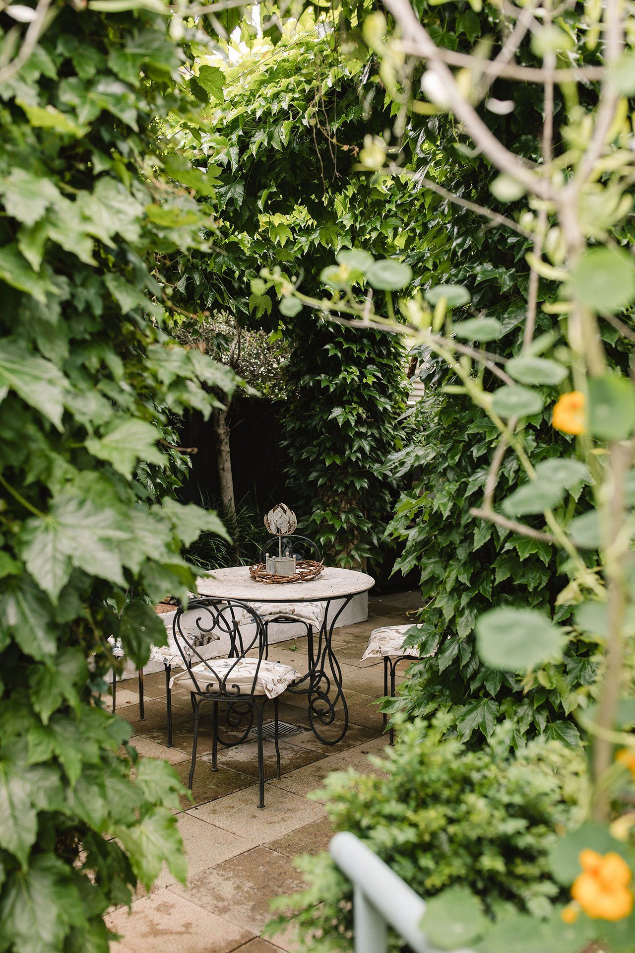 Garden Tours for Bloom in the Boom 2020