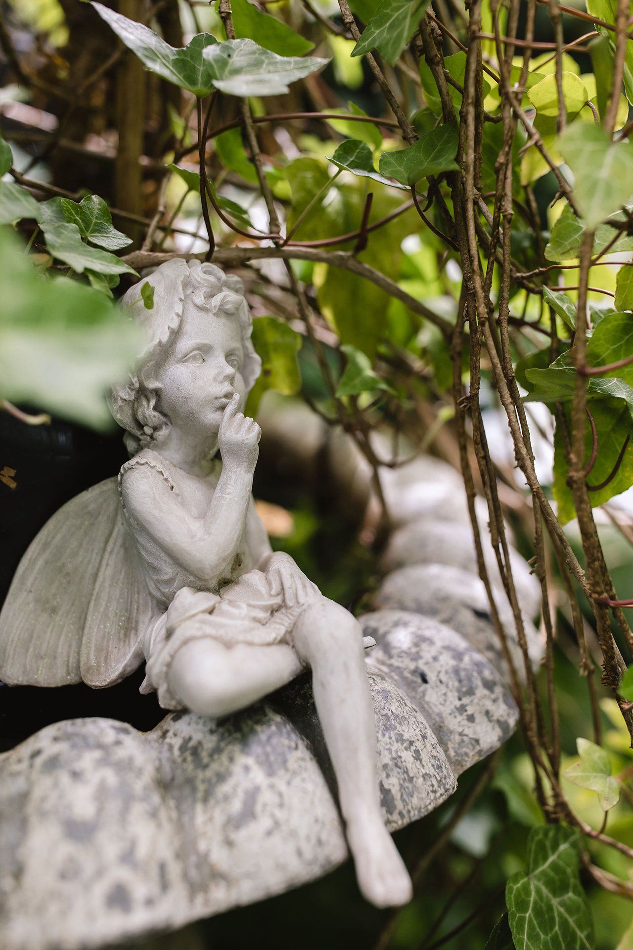 Garden Tours for Bloom in the Boom 2020