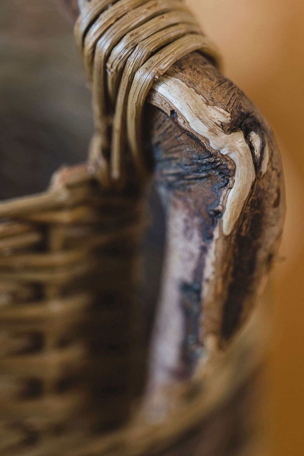 Nicola Basham workshop for Bloom in the Boom 2020