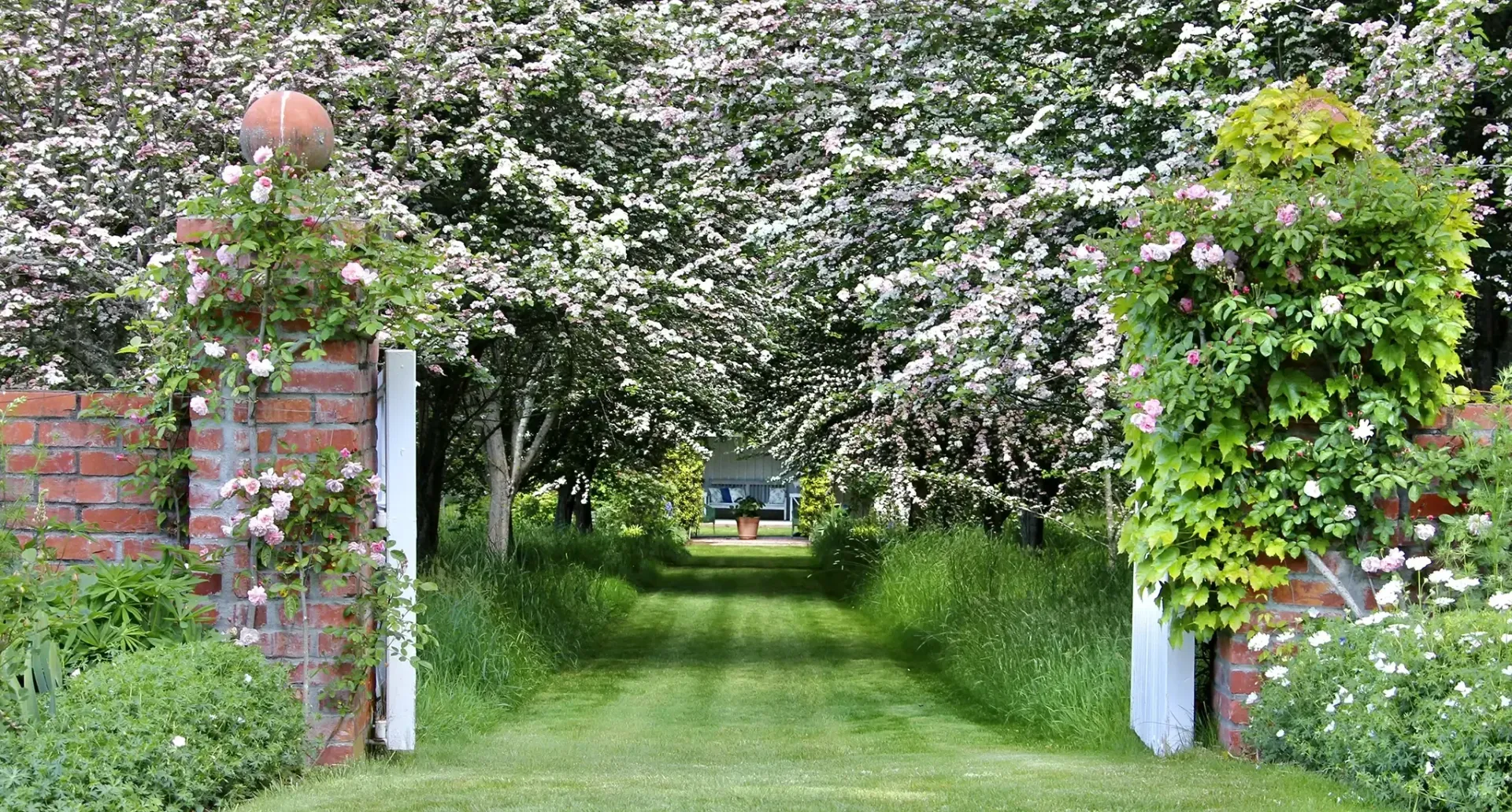 East Coast garden tour for Garden Marlborough in Marlborough NZ