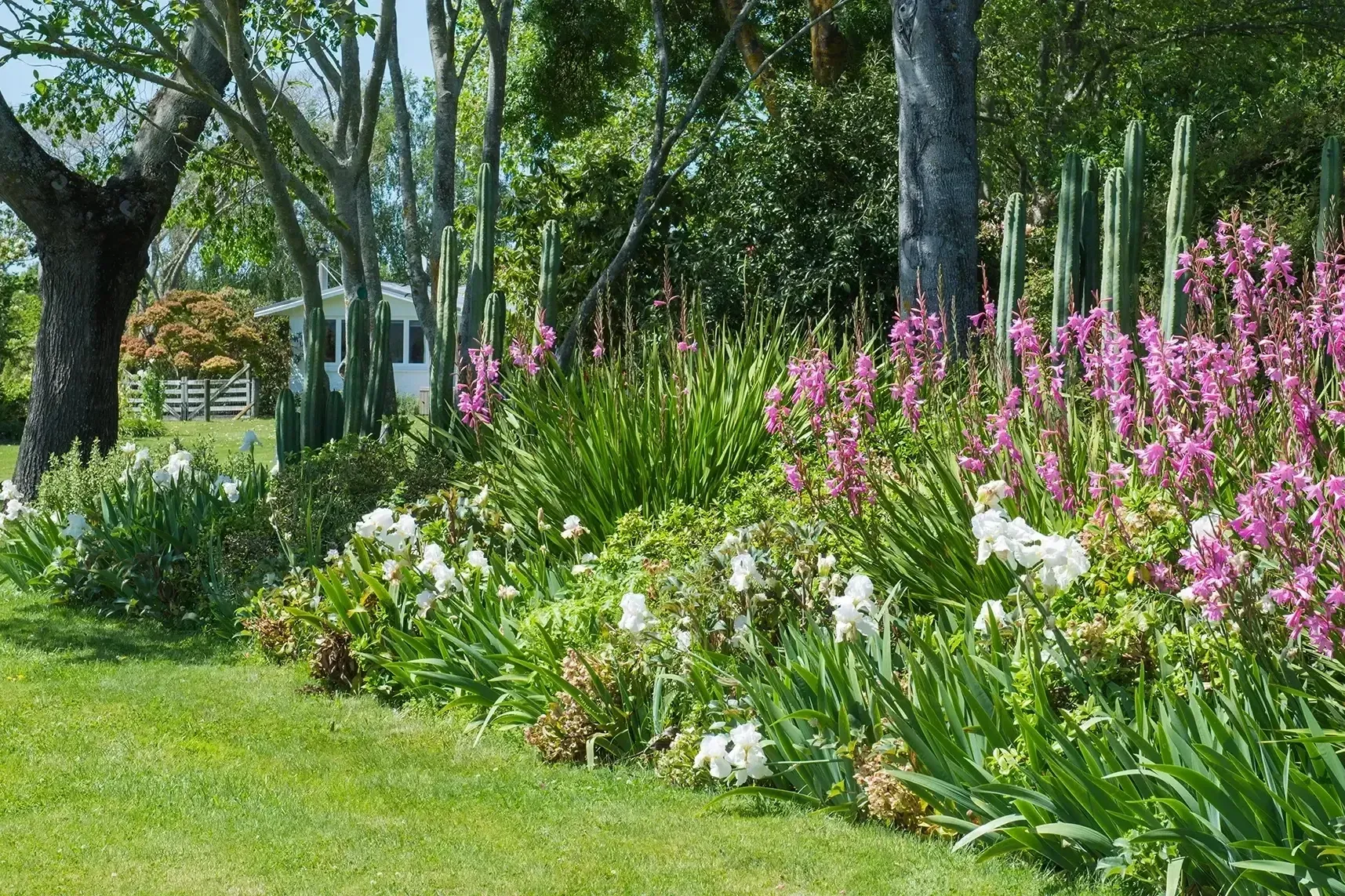 Botanical Abundance - Garden Marlborough