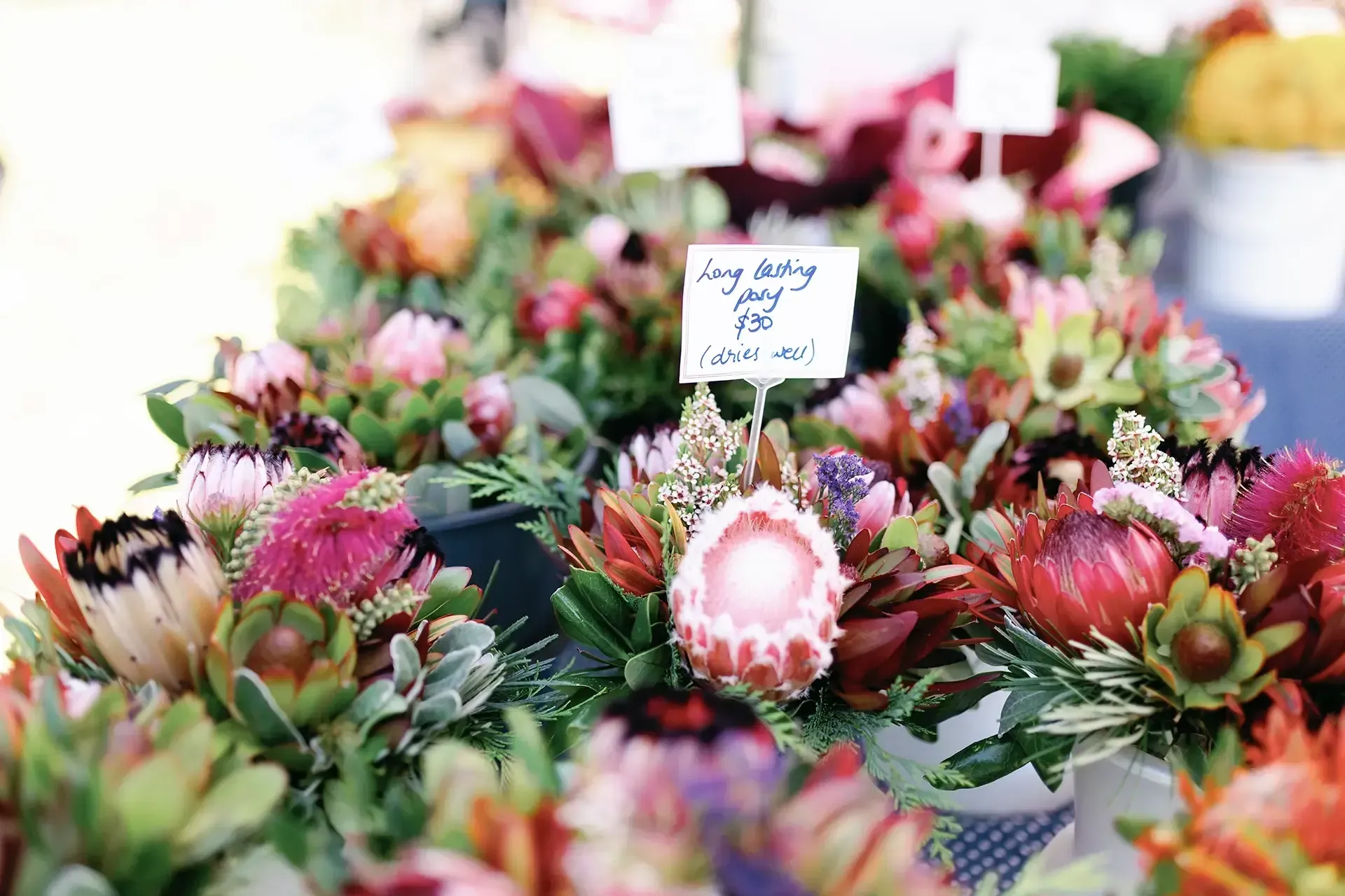 Stihl Shop Garden Fete in Churchill Glade