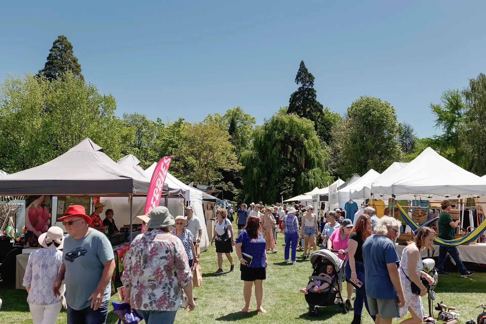 Stihl Shop Garden Fete in Churchill Glade