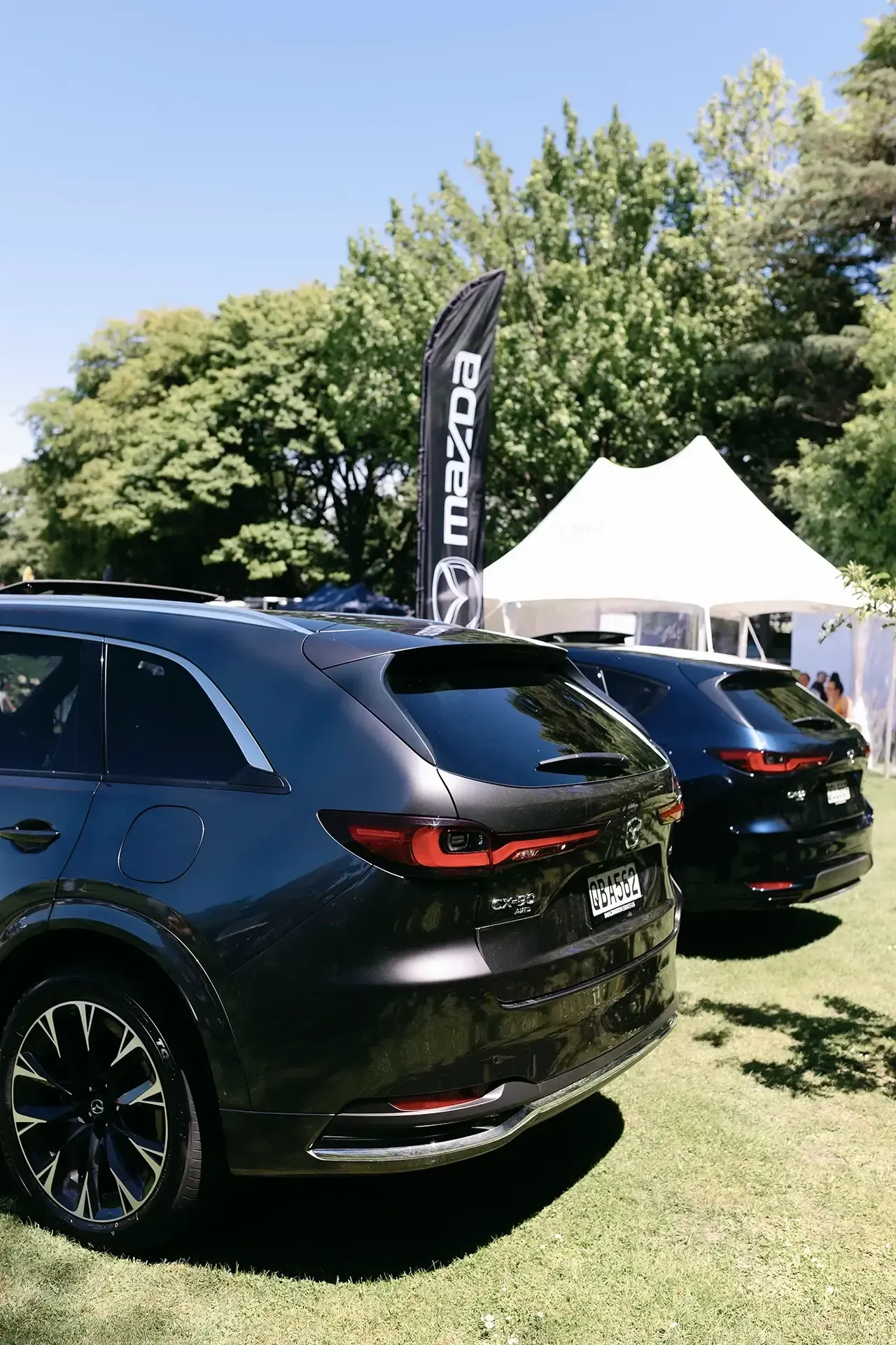 Stihl Shop Garden Fete in Churchill Glade