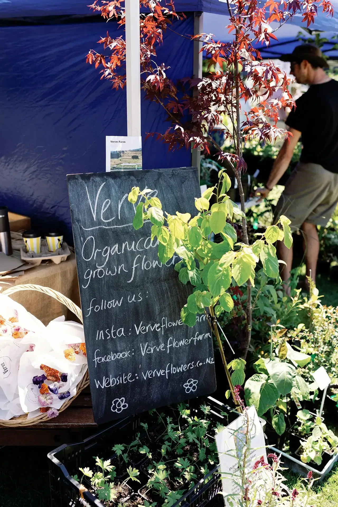 Stihl Shop Garden Fete in Churchill Glade
