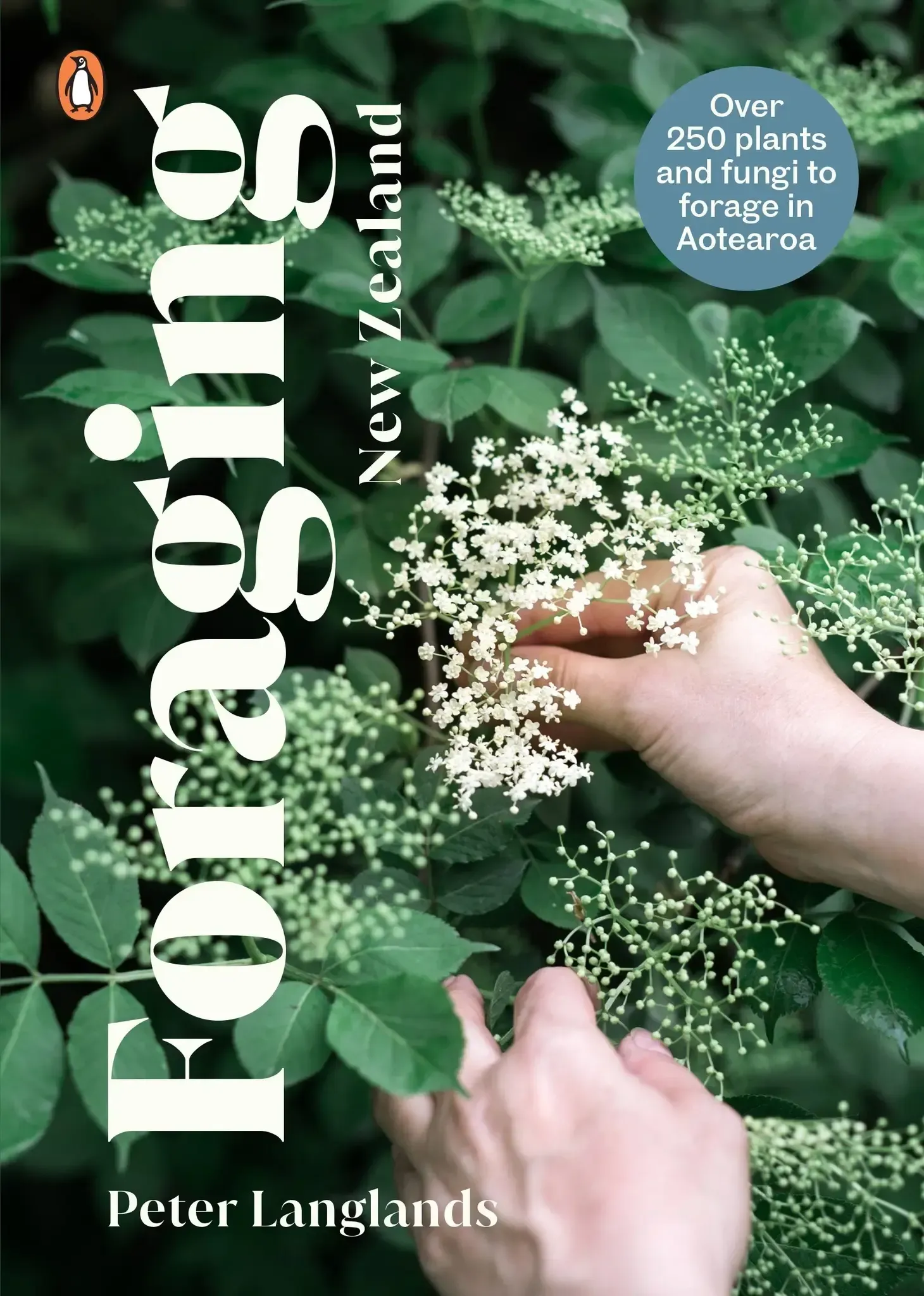 Foraging with Peter Langlands - Garden Marlborough Workshops