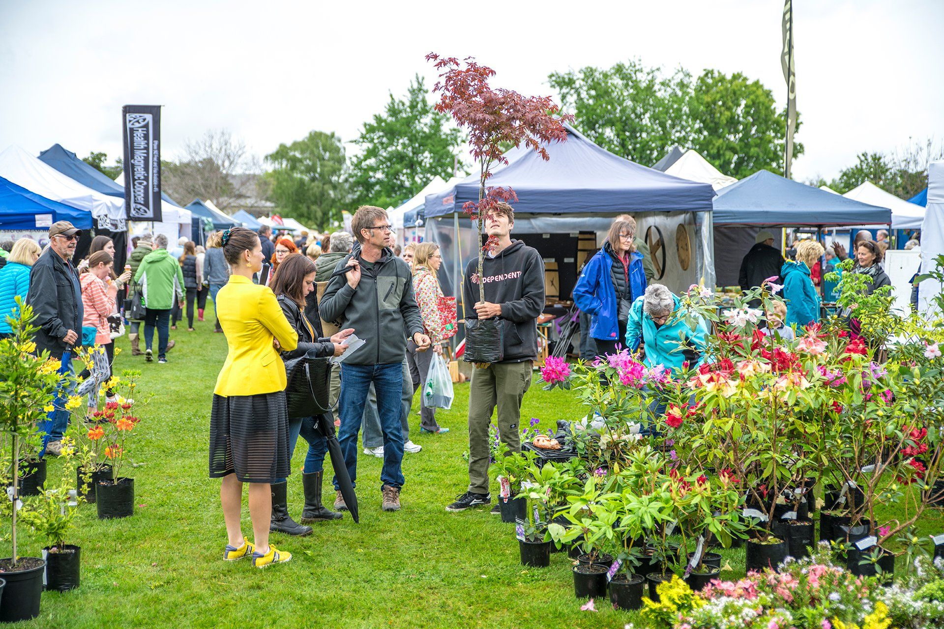 Garden Marlborough Festival | Premiere New Zealand Garden Event