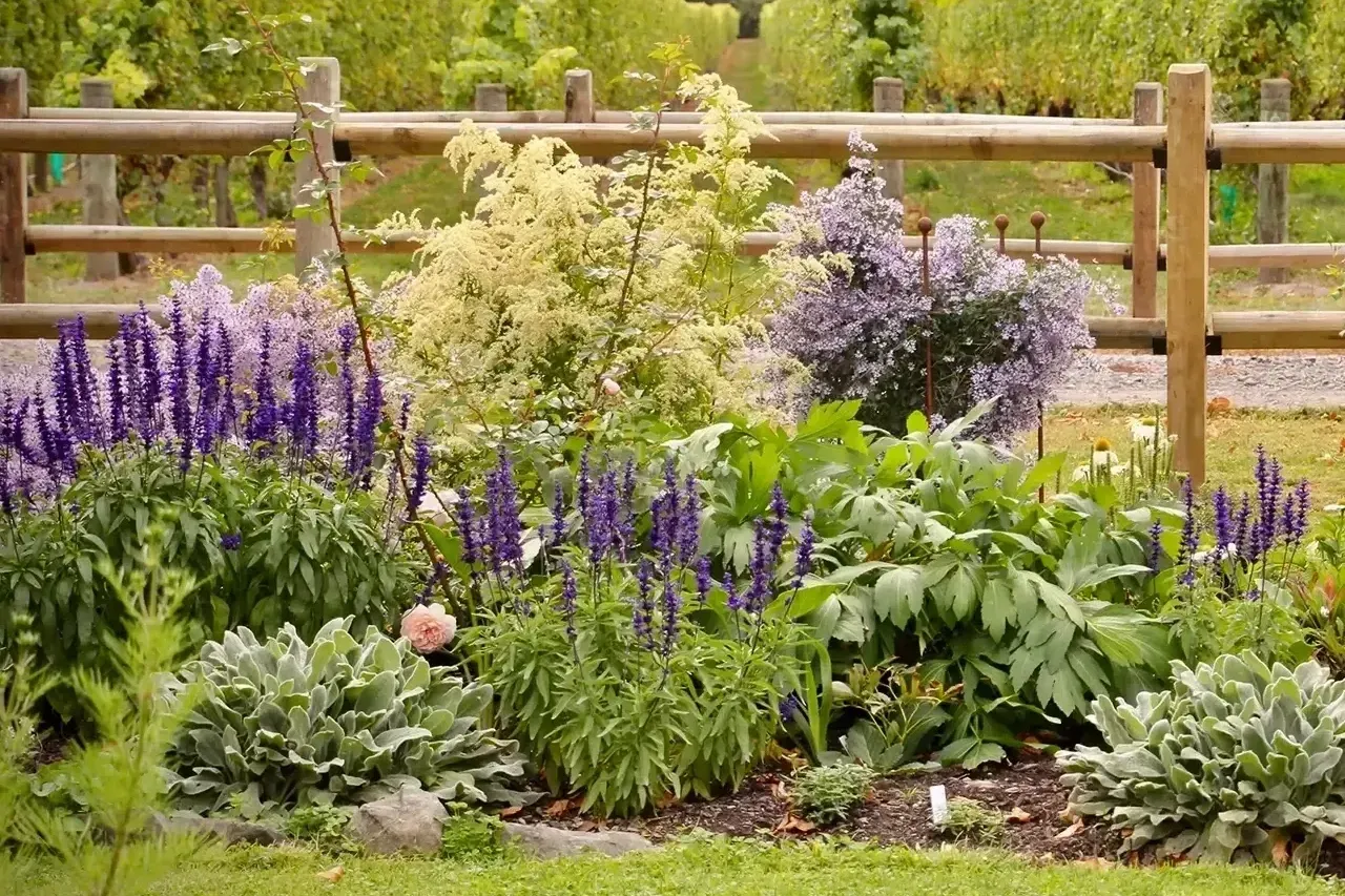 Spectacular Spaces - Garden Marlborough