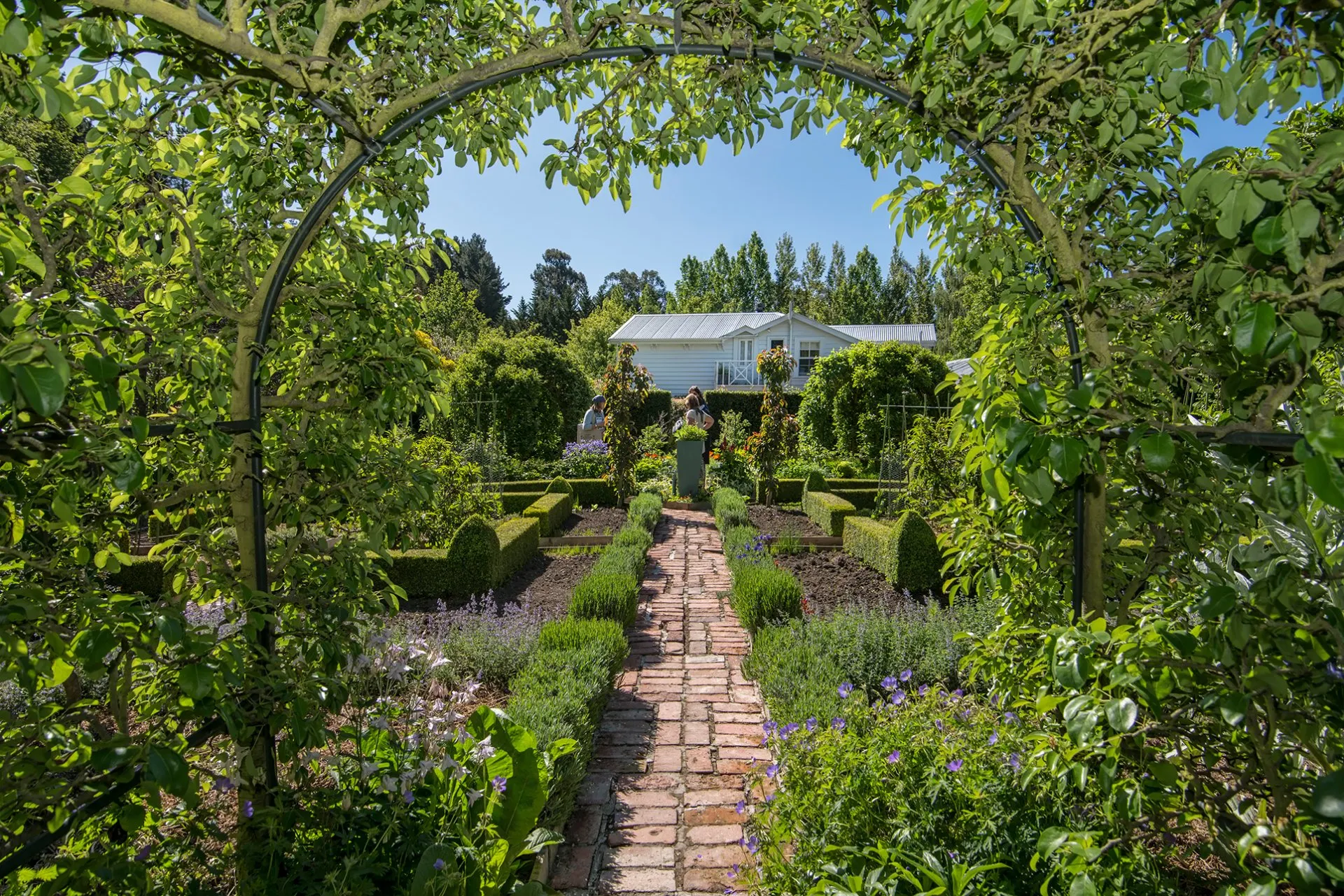 Barewood Garden - Garden Tour at Garden Marlborough