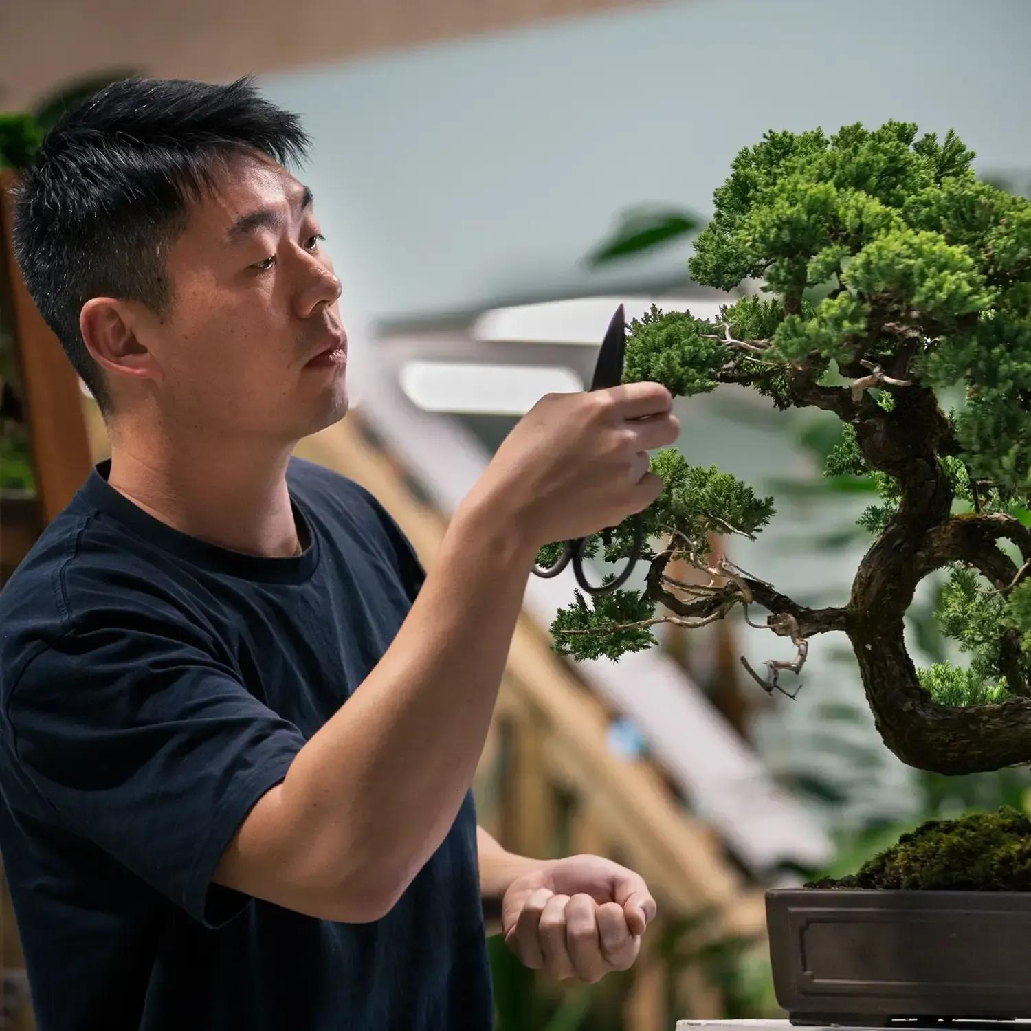 Steven Yin - Workshop Garden Marlborough