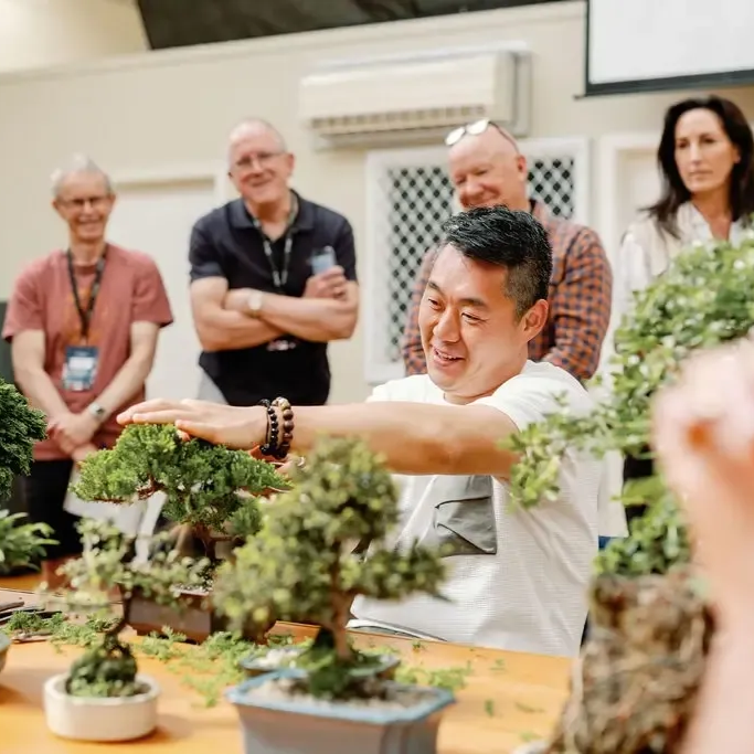 The Art of Bonsai with Steven Yin