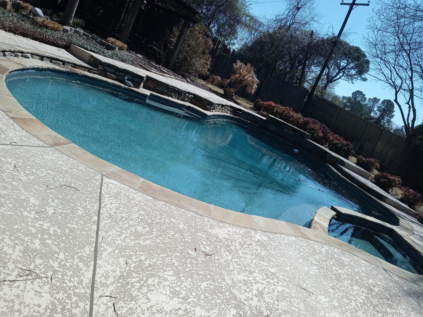 Pool with blue water and stone patio, surrounded by landscaping.