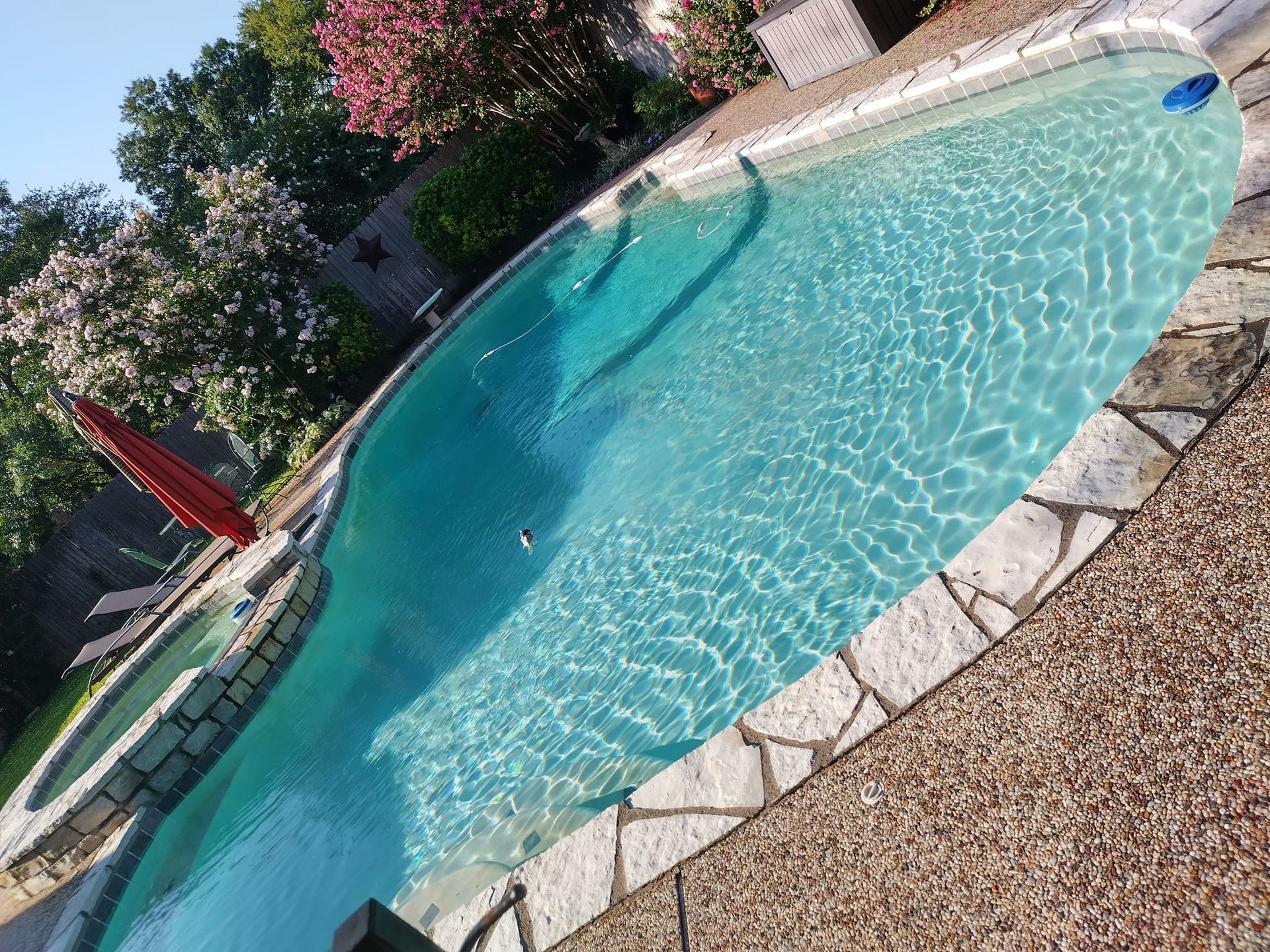 Swimming pool with clear blue water and stone deck, next to spa, surrounded by trees.