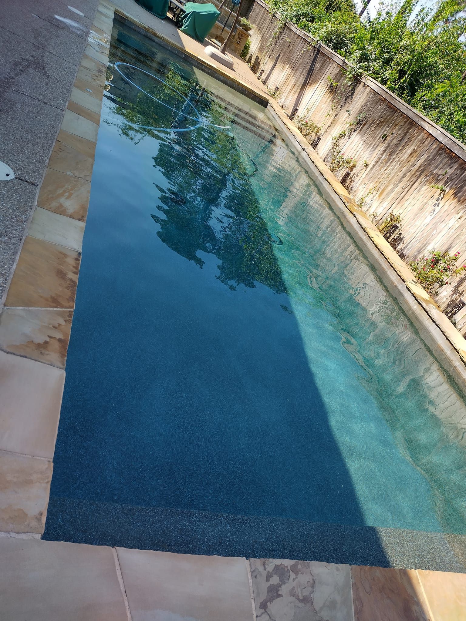 Rectangular swimming pool with dark blue water surrounded by beige tiles and a wooden fence.
