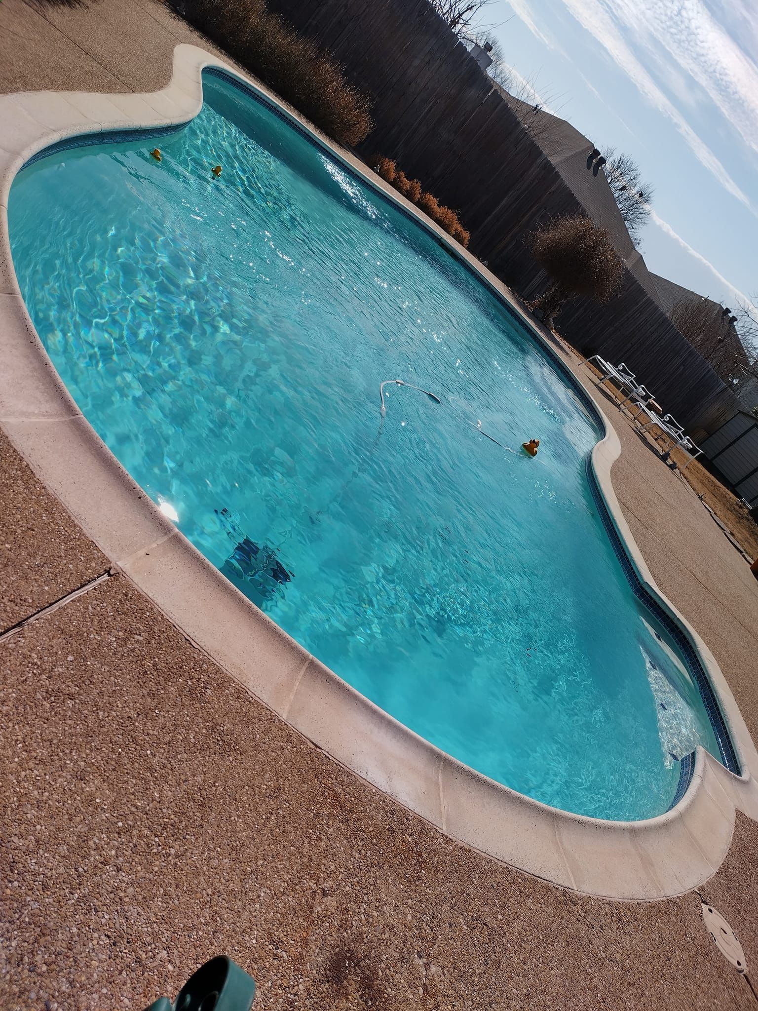 Oval-shaped swimming pool filled with blue water, surrounded by brown pebbles and a fence on a sunny day.