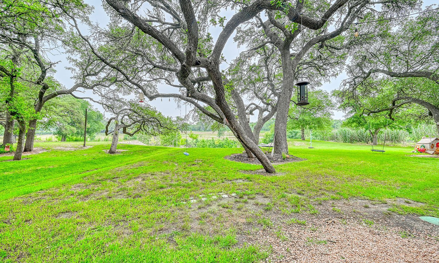 A large lush green field with trees and a bird feeder in the middle.