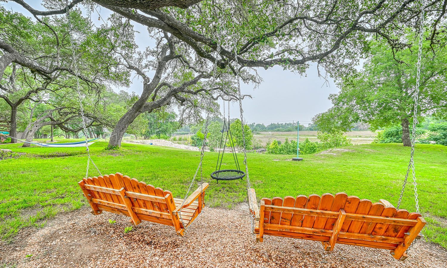 Two wooden swings are hanging from a tree in a park.