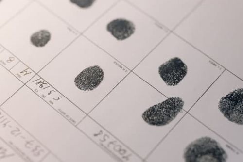 Fingerprinting Process