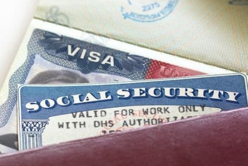 Social Security Verification