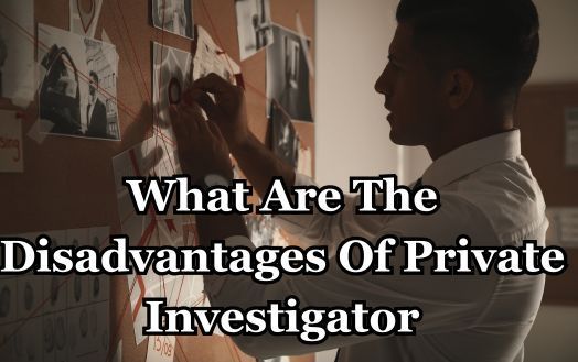 What Are The Disadvantages Of Private Investigator