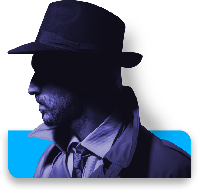 Private Investigator Sarasota - Leading Sarasota Private Detective