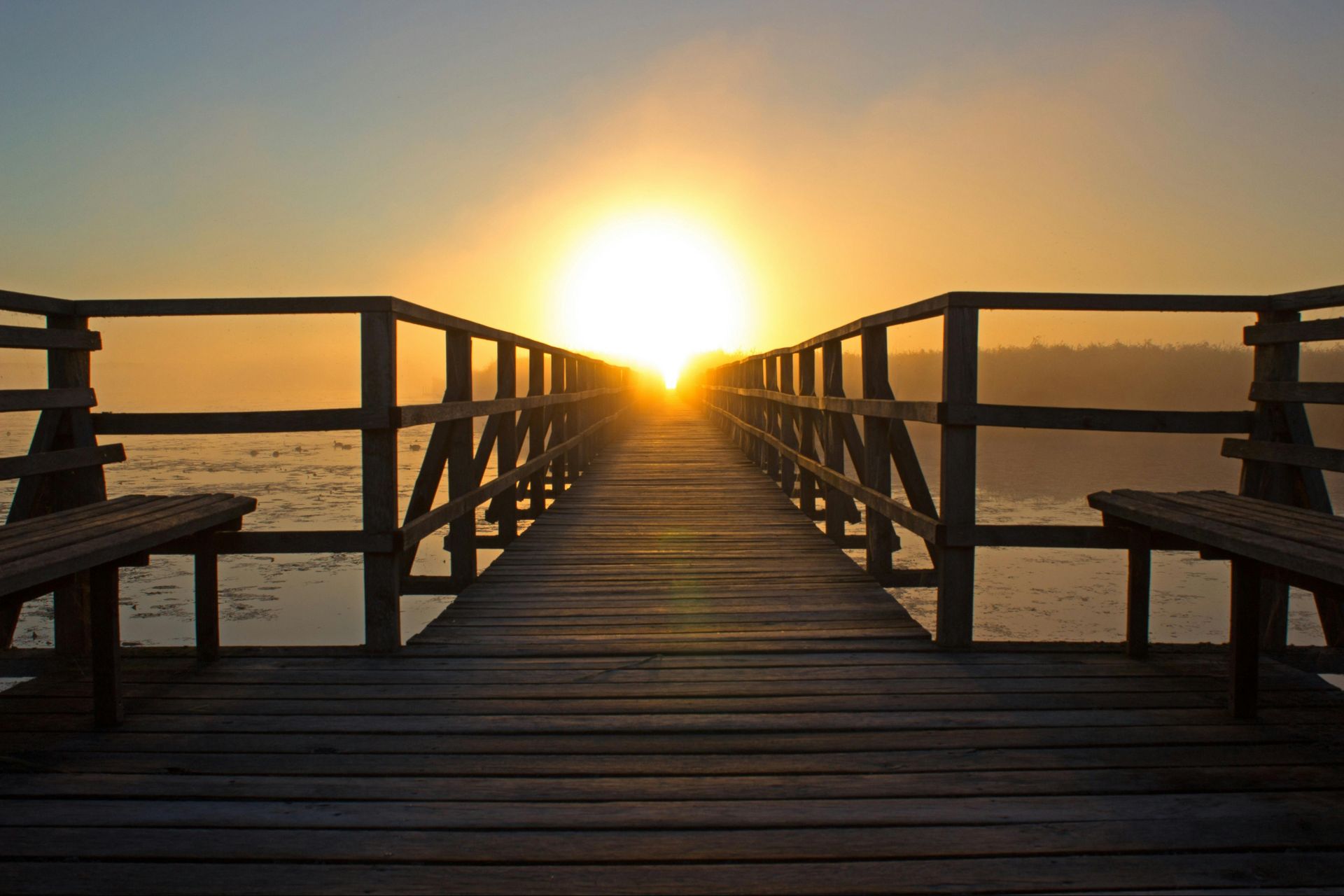 Wooden pier extending towards a bright sunrise over calm water. Two benches sit on either side of the pier.