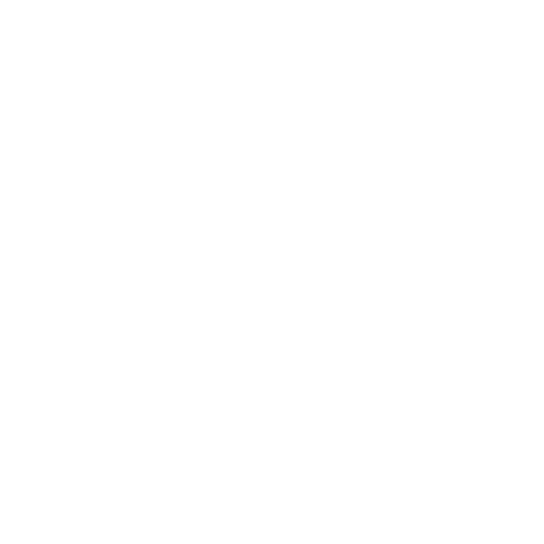 White The Nova Logo - Footer