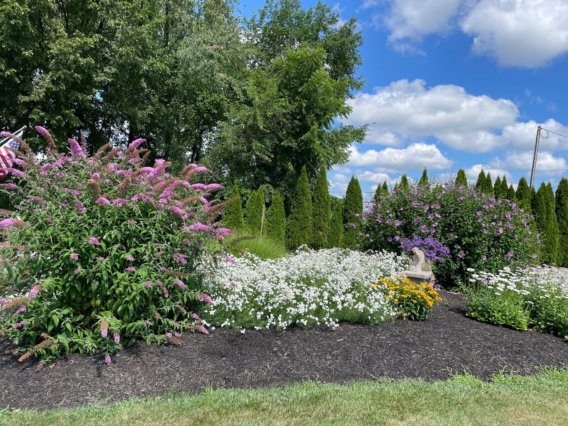 Purple bee balm flowers in a garden bed with a grassy hill and RVs in the background.