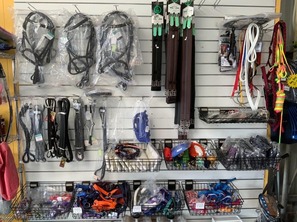A Wall Filled with Lots of Different Types of Horse Equipment — Yeppoon Stockfeed & Rural Supplies in Yeppoon, QLD