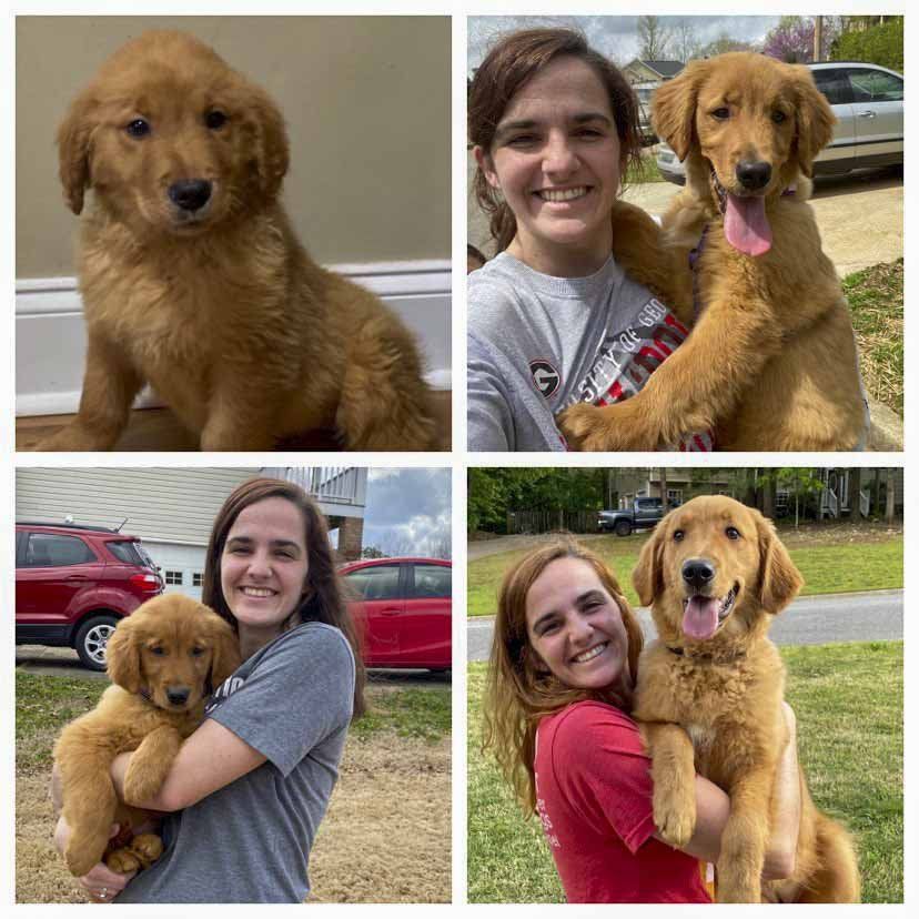 A woman is holding a puppy in her arms.
