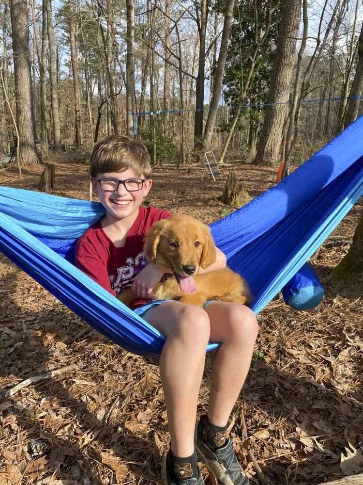 A boy is sitting in a hammock with a dog.