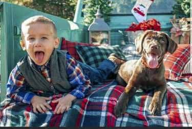 Country Way Kennels Puppies