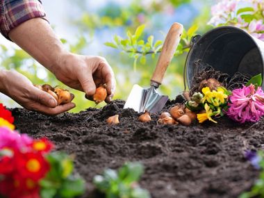 Prodotti per l'Agricoltura e il Giardinaggio