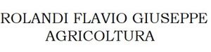 ROLANDI FLAVIO GIUSEPPE logo