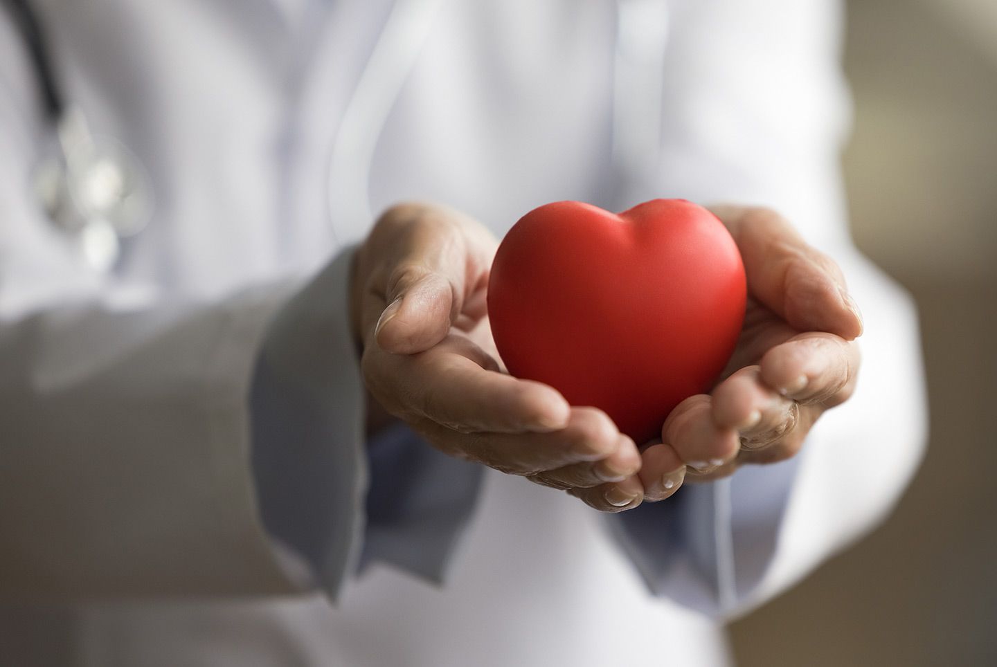 Doctor holding a red heart in hands, symbolizing heart health and care.