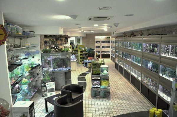 negozio di articoli e attrezzature per acquari
