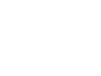 Austin Patrick & Associates Logo