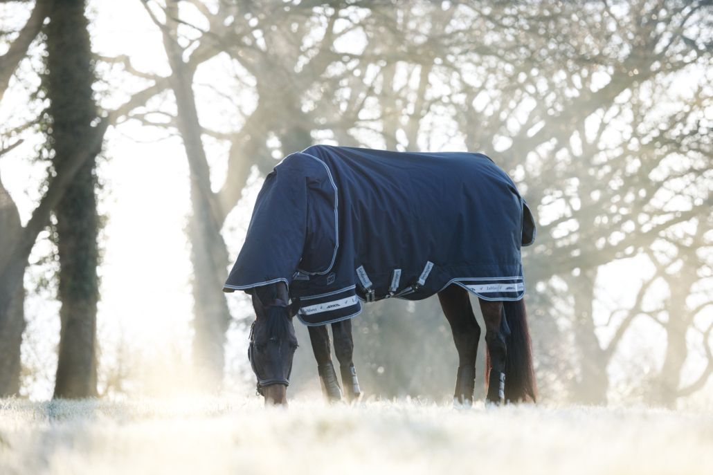 Heerlijk schone paardendeken na het wassen