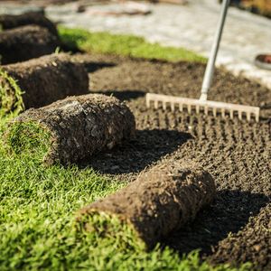 Adding Turf To Lawn — Watkinsville, GA — Four Seasons Lawn Maintenance